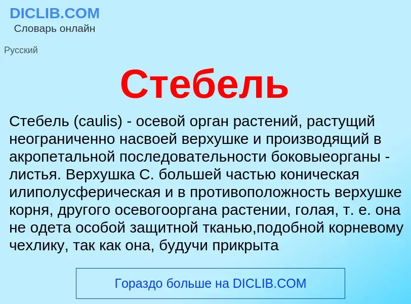 O que é Стебель - definição, significado, conceito