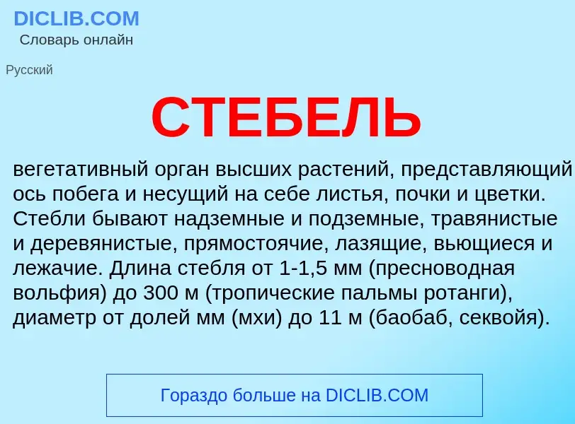 Что такое СТЕБЕЛЬ - определение