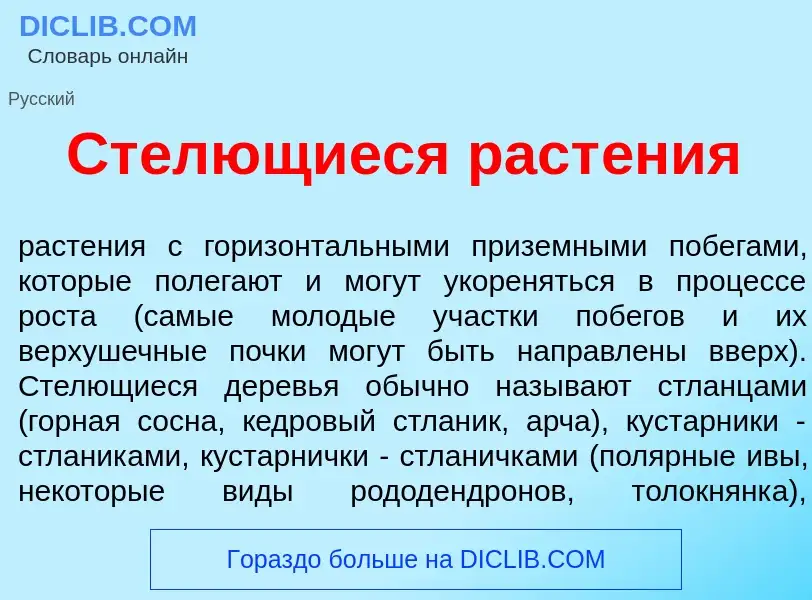 What is Ст<font color="red">е</font>лющиеся раст<font color="red">е</font>ния - meaning and definiti