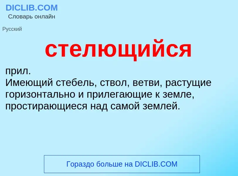 O que é стелющийся - definição, significado, conceito