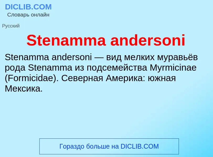 Che cos'è Stenamma andersoni - definizione