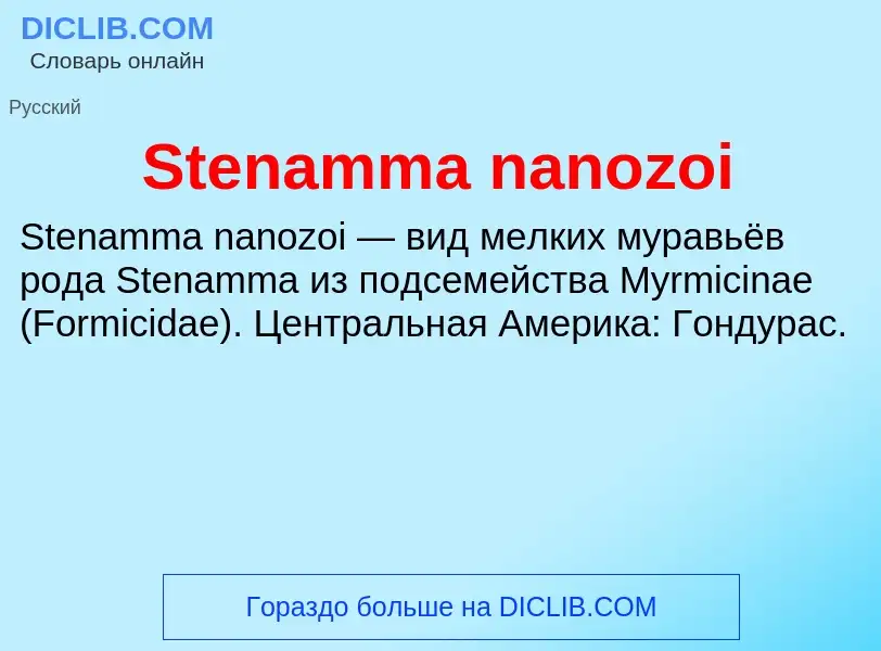 Che cos'è Stenamma nanozoi - definizione