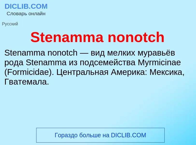 Che cos'è Stenamma nonotch - definizione