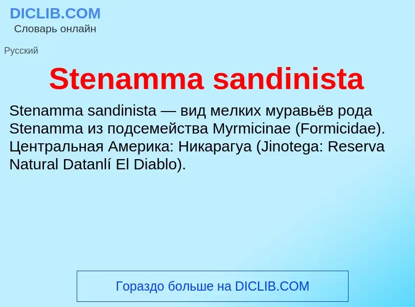 Che cos'è Stenamma sandinista - definizione