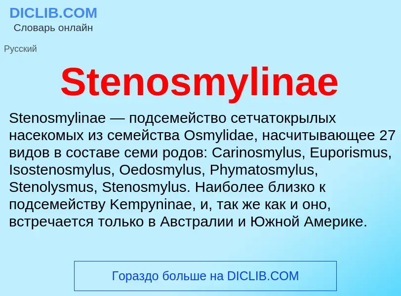 Che cos'è Stenosmylinae - definizione