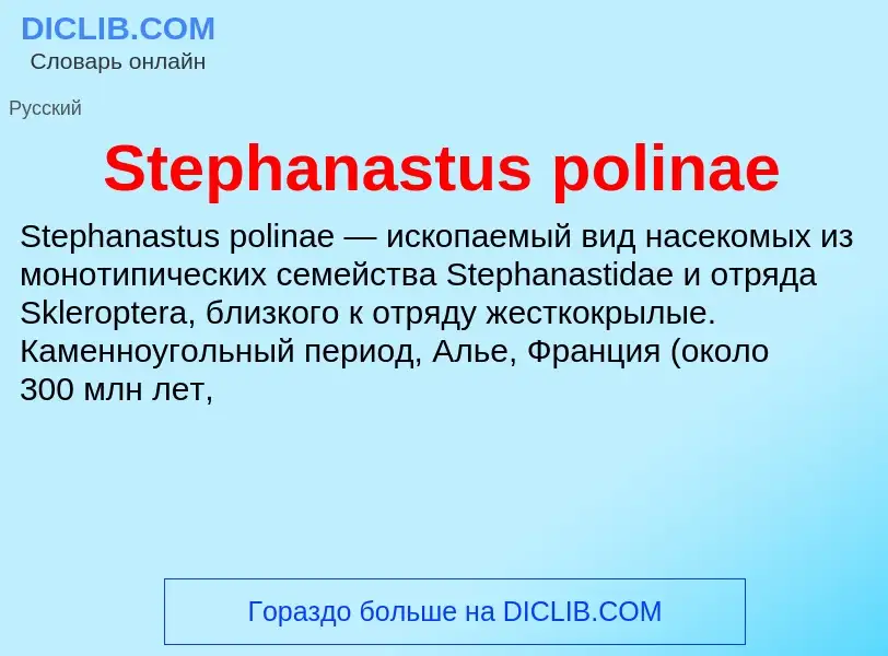 Che cos'è Stephanastus polinae - definizione