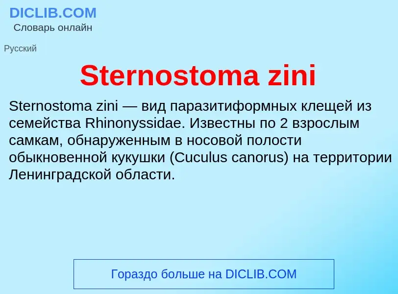 Che cos'è Sternostoma zini - definizione