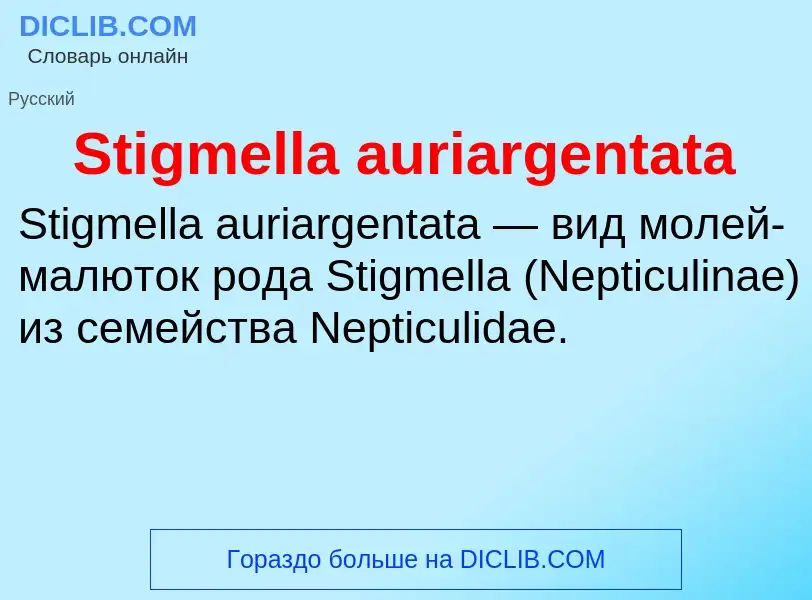 Che cos'è Stigmella auriargentata - definizione