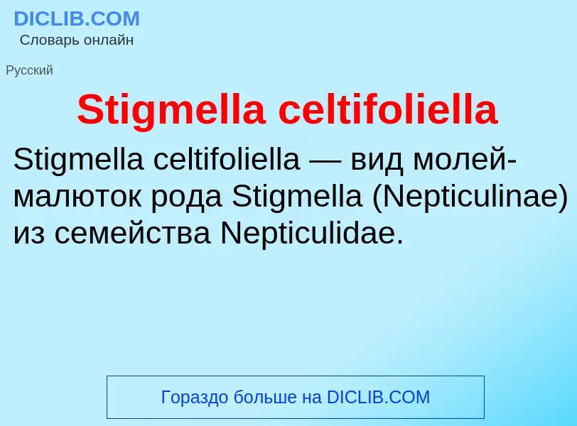 Che cos'è Stigmella celtifoliella - definizione