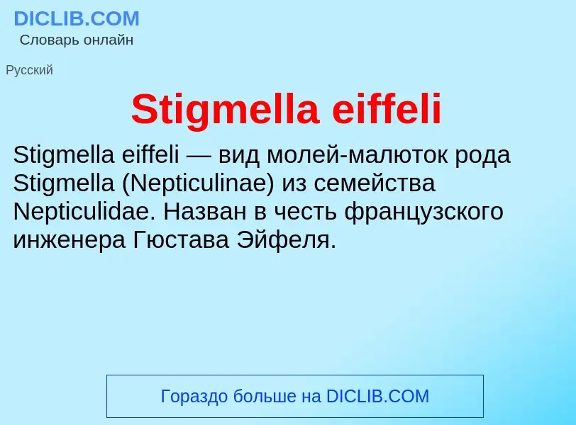 Che cos'è Stigmella eiffeli - definizione