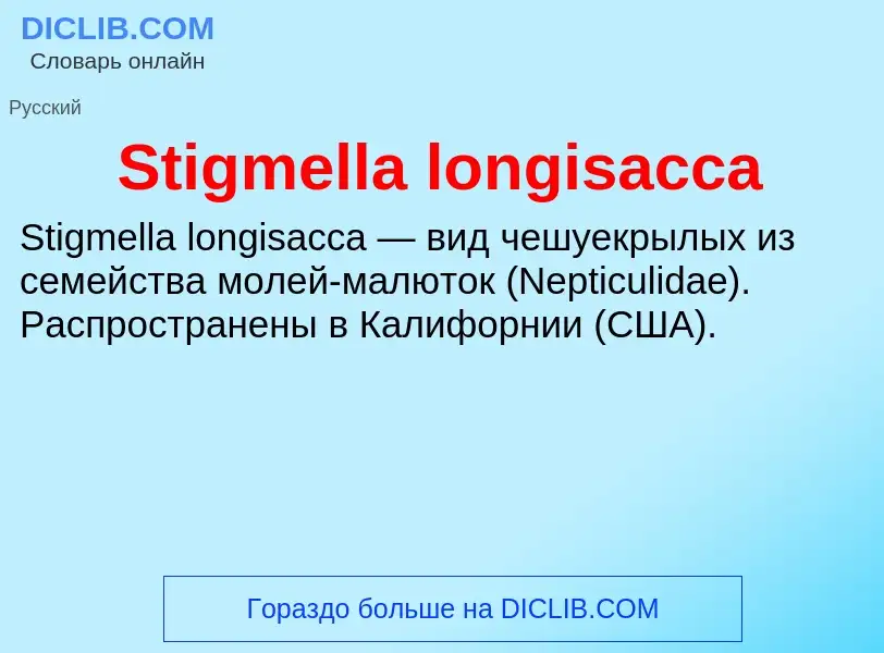 Che cos'è Stigmella longisacca - definizione