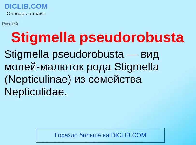 Che cos'è Stigmella pseudorobusta - definizione