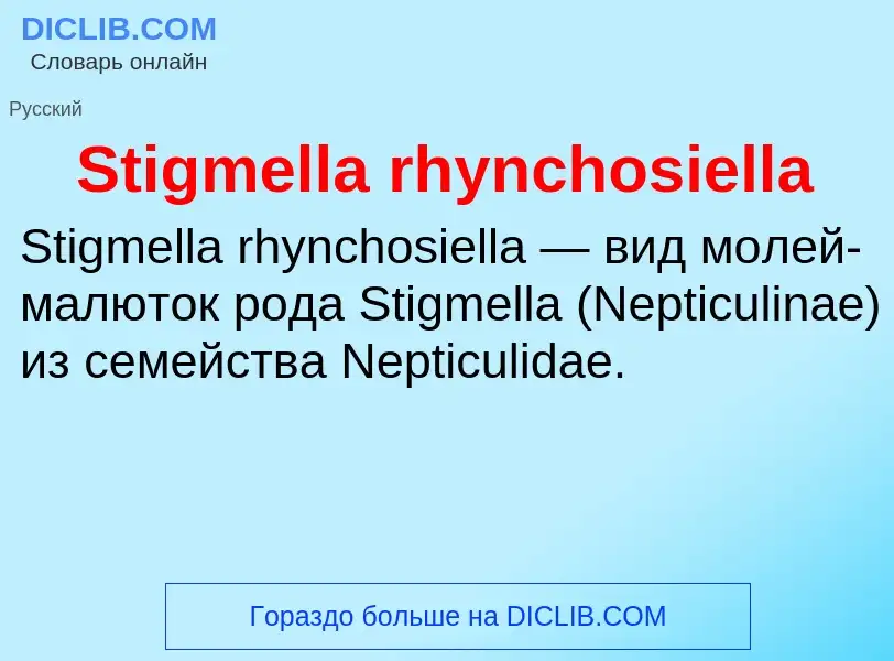 Che cos'è Stigmella rhynchosiella - definizione