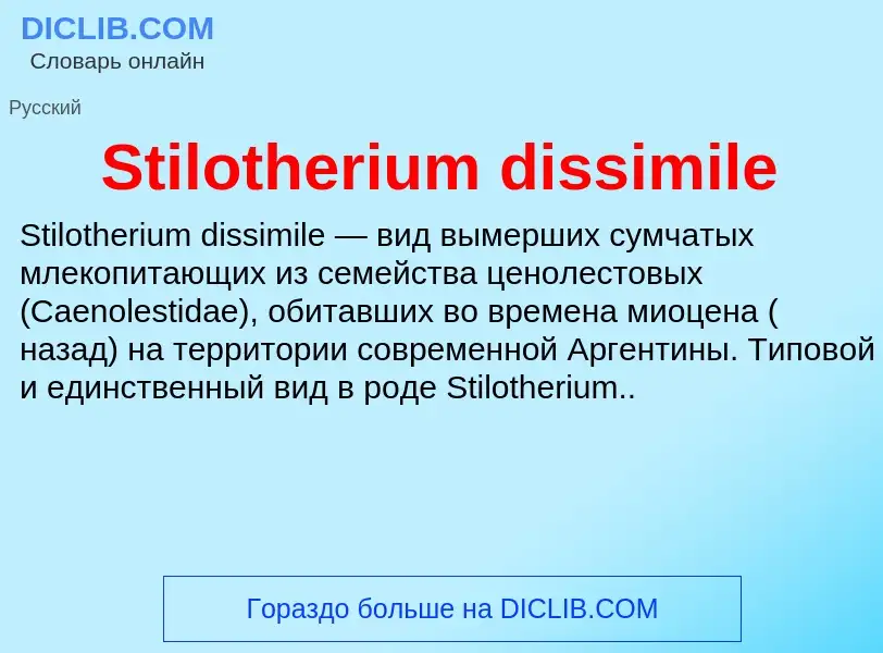 Che cos'è Stilotherium dissimile - definizione