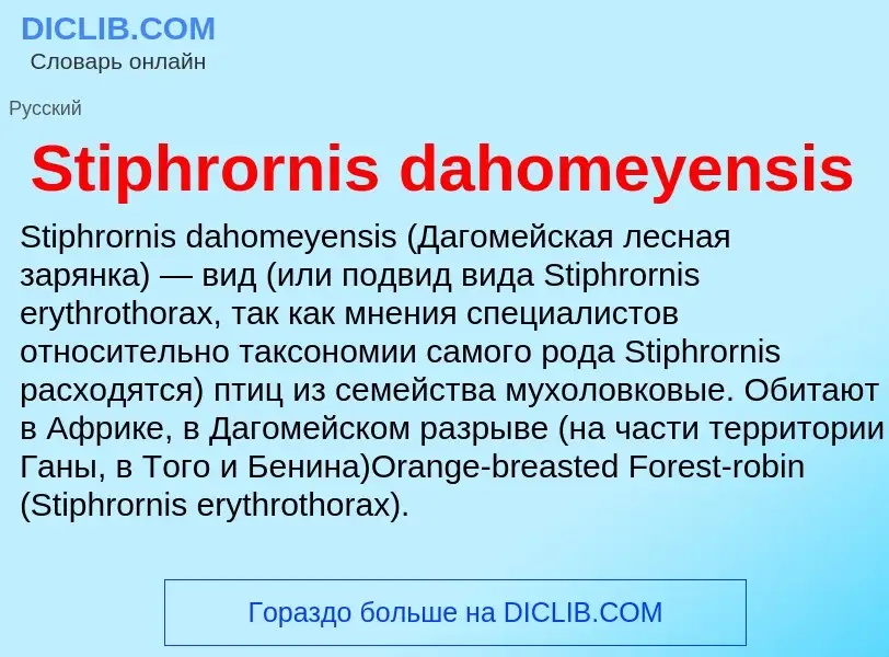 Что такое Stiphrornis dahomeyensis - определение