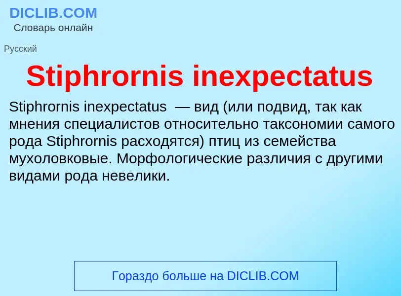 Что такое Stiphrornis inexpectatus - определение