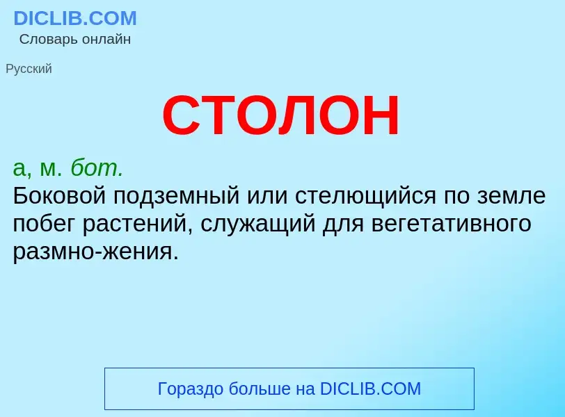 What is СТОЛОН - meaning and definition