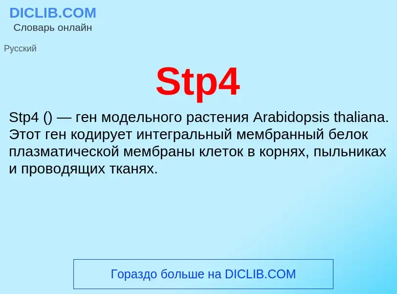 Что такое Stp4 - определение