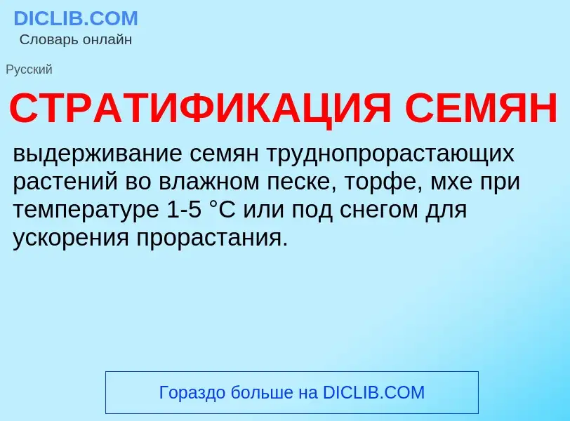 Wat is СТРАТИФИКАЦИЯ СЕМЯН - definition