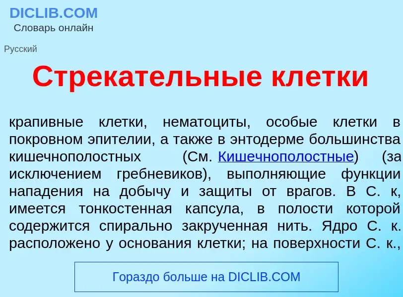 O que é Стрек<font color="red">а</font>тельные кл<font color="red">е</font>тки - definição, signific