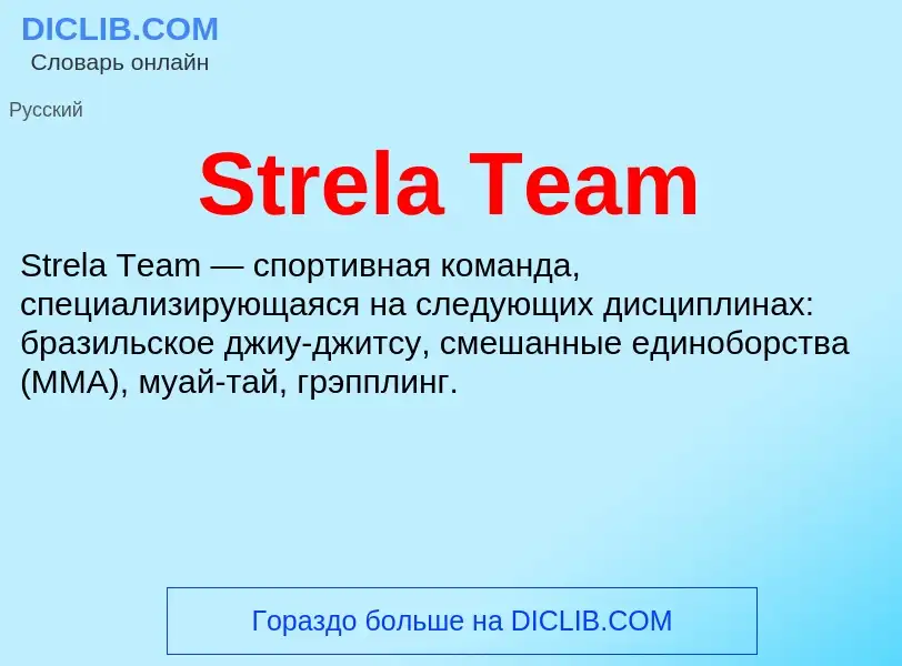 Что такое Strela Team - определение