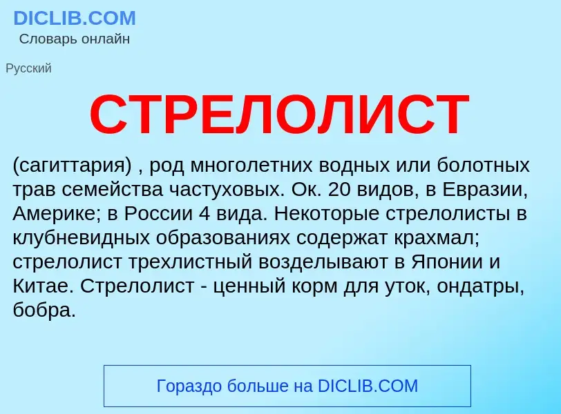 Что такое СТРЕЛОЛИСТ - определение