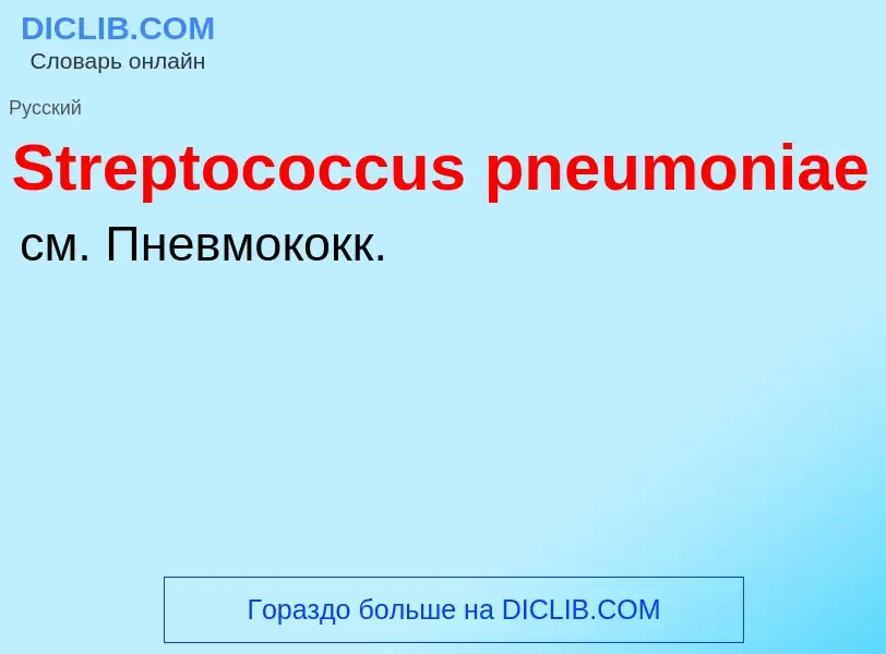 Что такое Streptococcus pneumoniae - определение