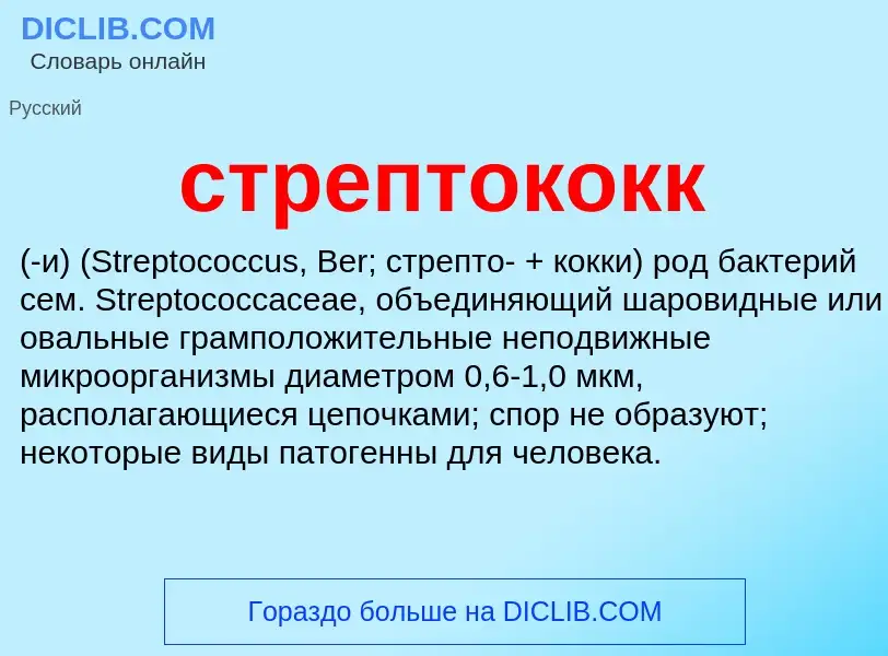 O que é стрептококк - definição, significado, conceito