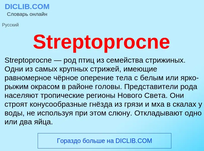 Τι είναι Streptoprocne - ορισμός