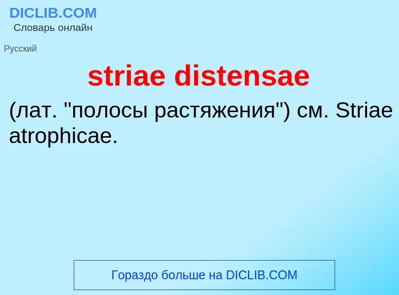 What is striae distensae  - meaning and definition