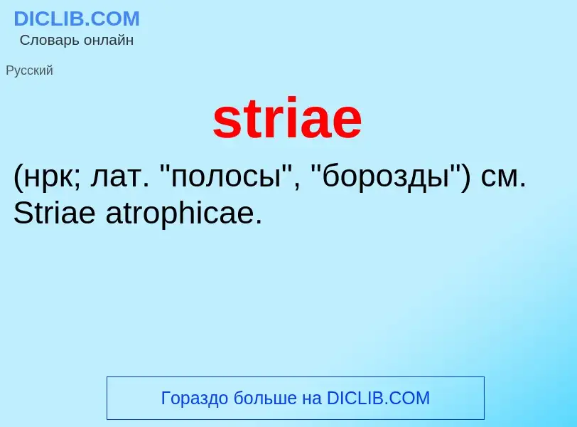 Что такое striae  - определение