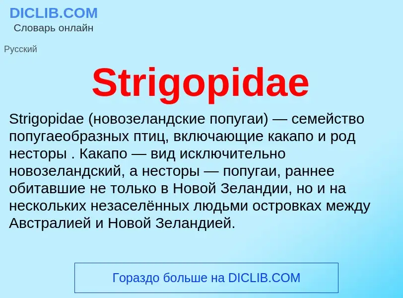 Τι είναι Strigopidae - ορισμός