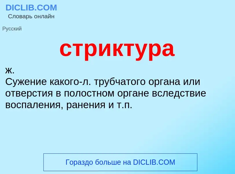 What is стриктура - meaning and definition