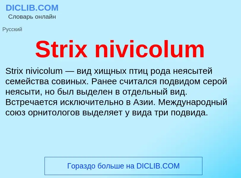 Что такое Strix nivicolum - определение