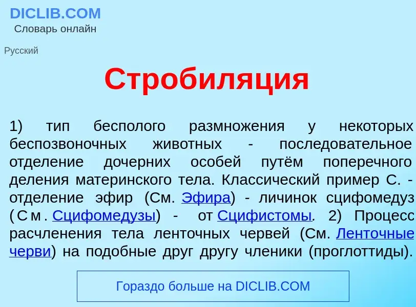 Что такое Стробил<font color="red">я</font>ция - определение