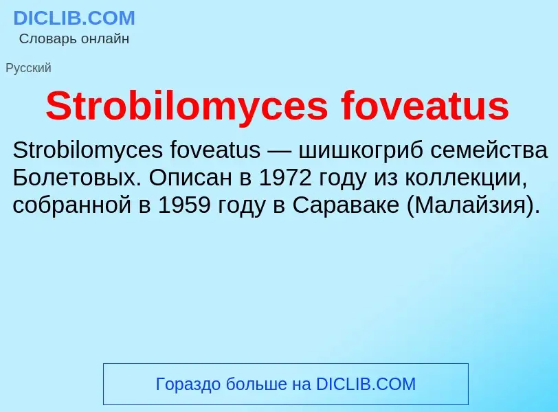 Что такое Strobilomyces foveatus - определение