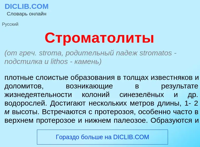 Что такое Строматол<font color="red">и</font>ты - определение