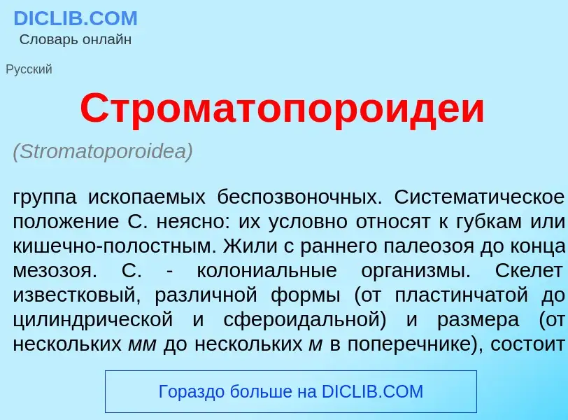 Qu'est-ce que Строматопороид<font color="red">е</font>и - définition