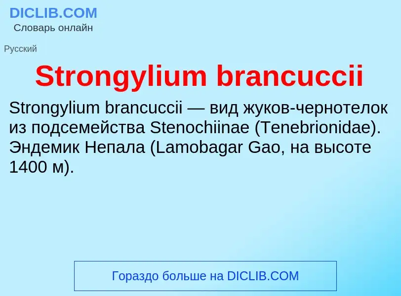 Τι είναι Strongylium brancuccii - ορισμός