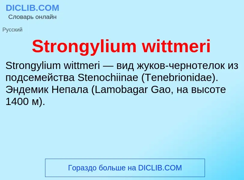 Что такое Strongylium wittmeri - определение