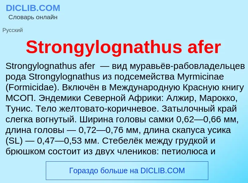 Что такое Strongylognathus afer - определение