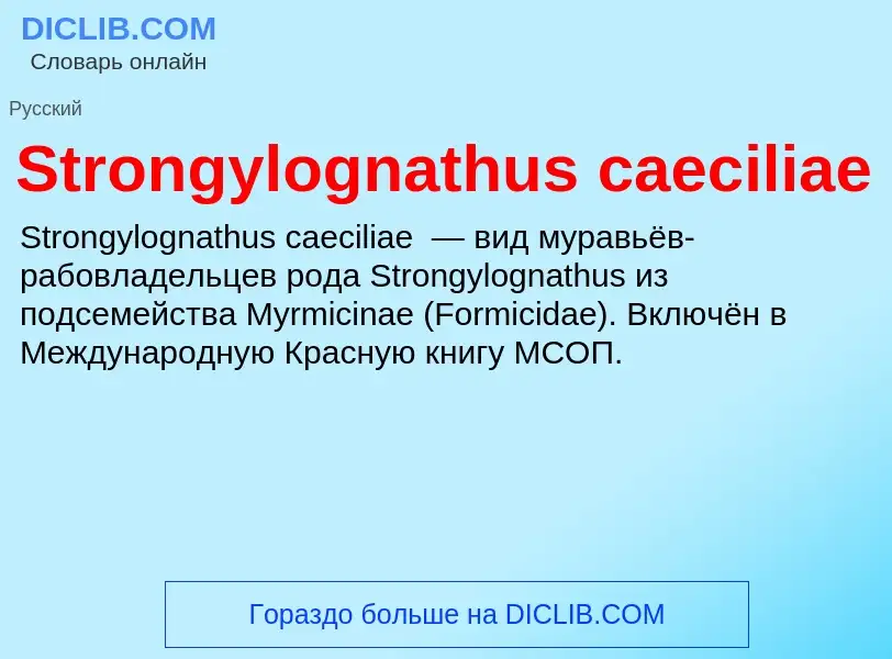 Что такое Strongylognathus caeciliae - определение