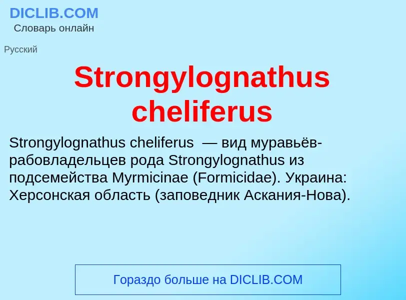 Что такое Strongylognathus cheliferus - определение