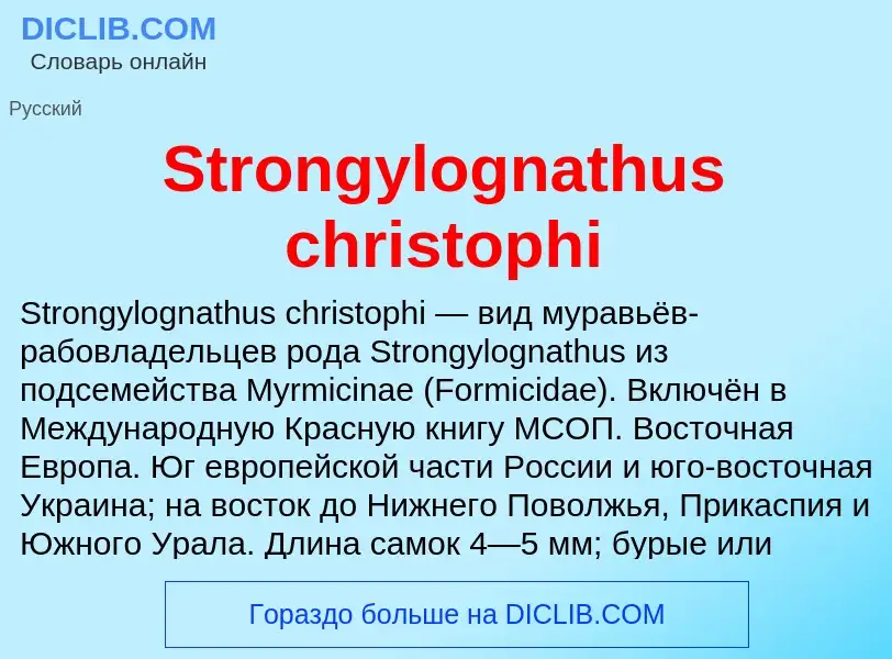 Что такое Strongylognathus christophi - определение