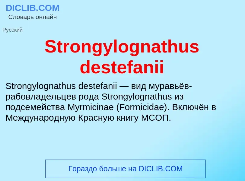 Что такое Strongylognathus destefanii - определение