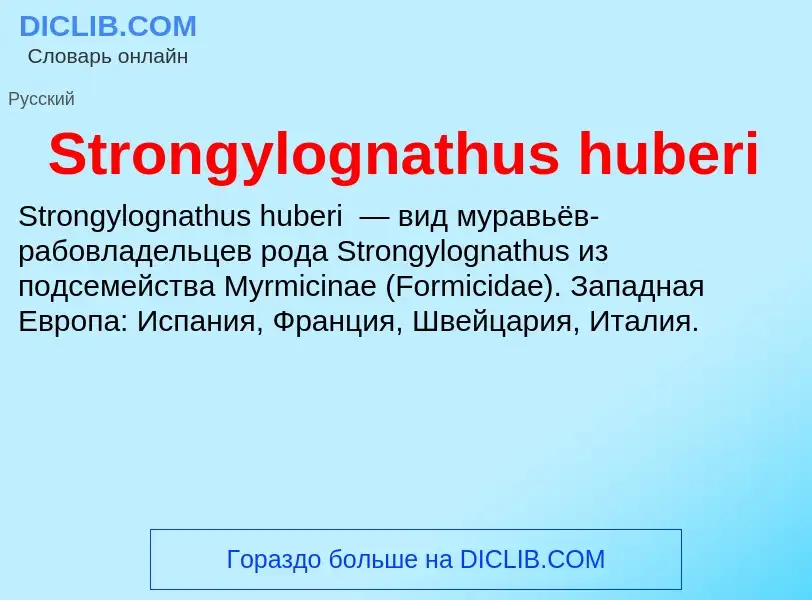 Что такое Strongylognathus huberi - определение