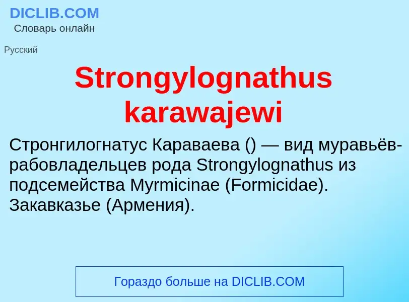 Что такое Strongylognathus karawajewi - определение