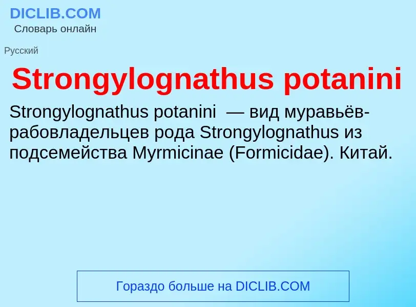 Что такое Strongylognathus potanini - определение