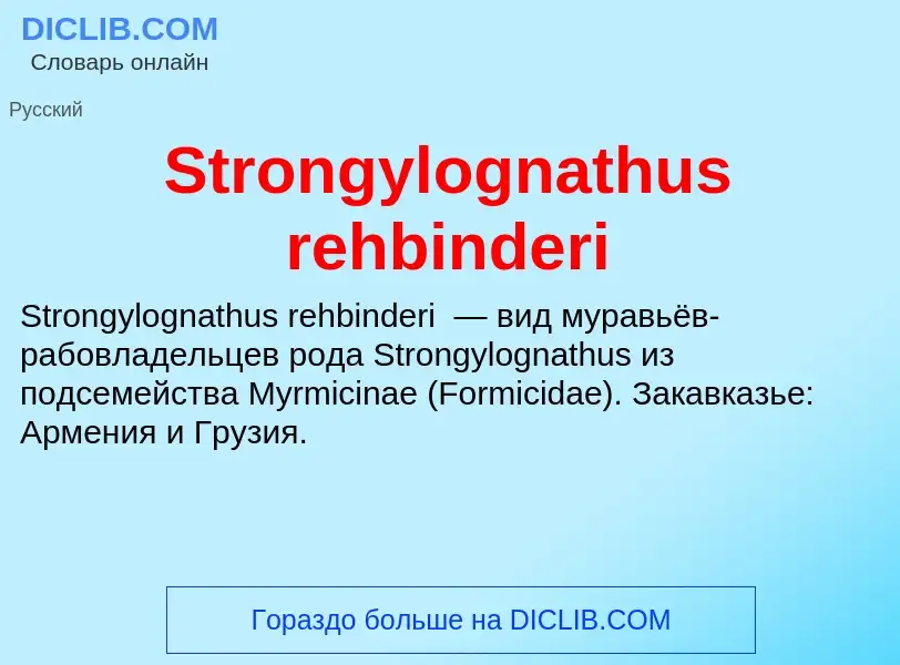 Что такое Strongylognathus rehbinderi - определение