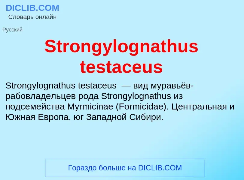 Что такое Strongylognathus testaceus - определение